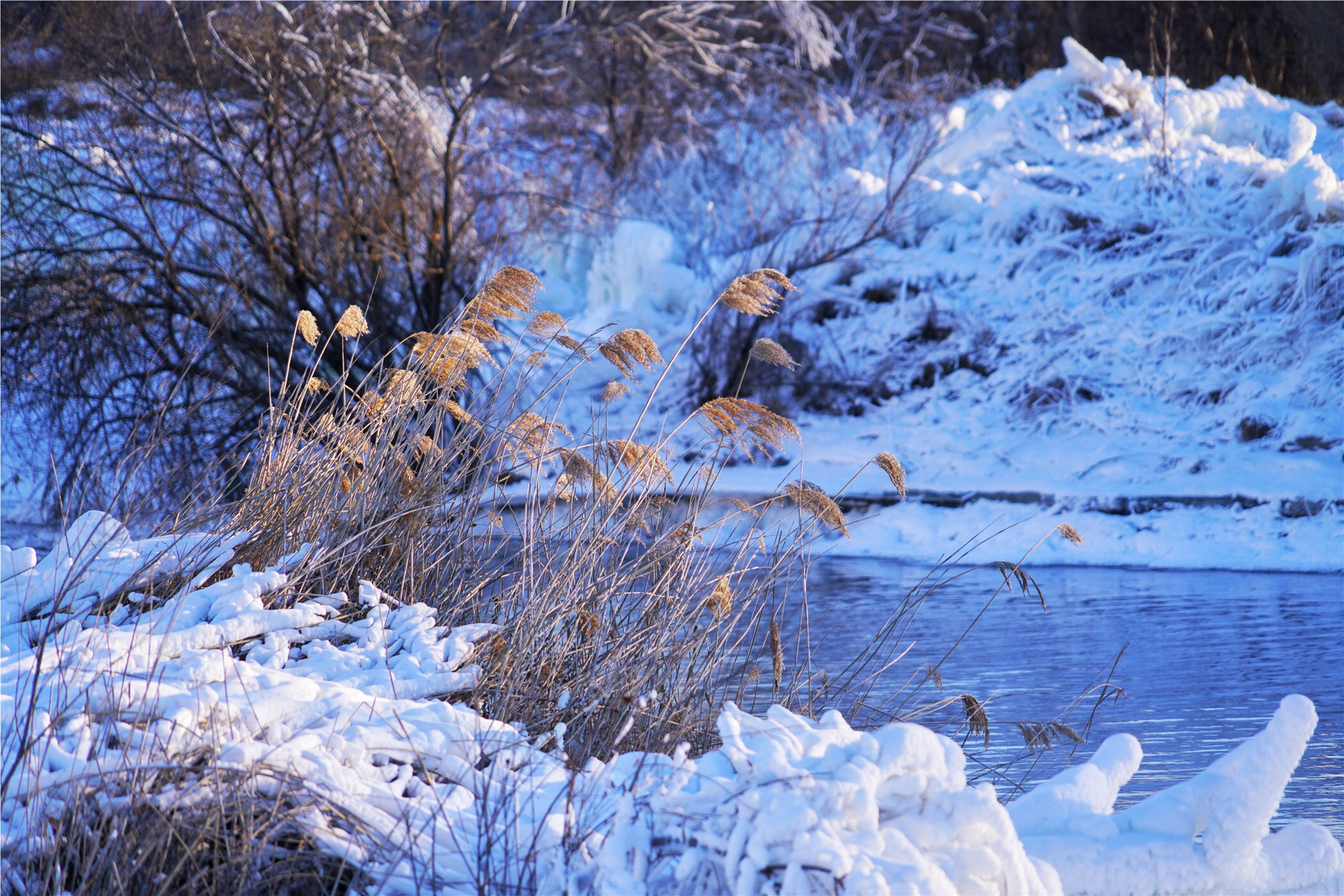 想去东北看雪哪个地方更好(零下30度来东北这个地方看雾凇，河流居然不结冰美成了瑶池仙境)