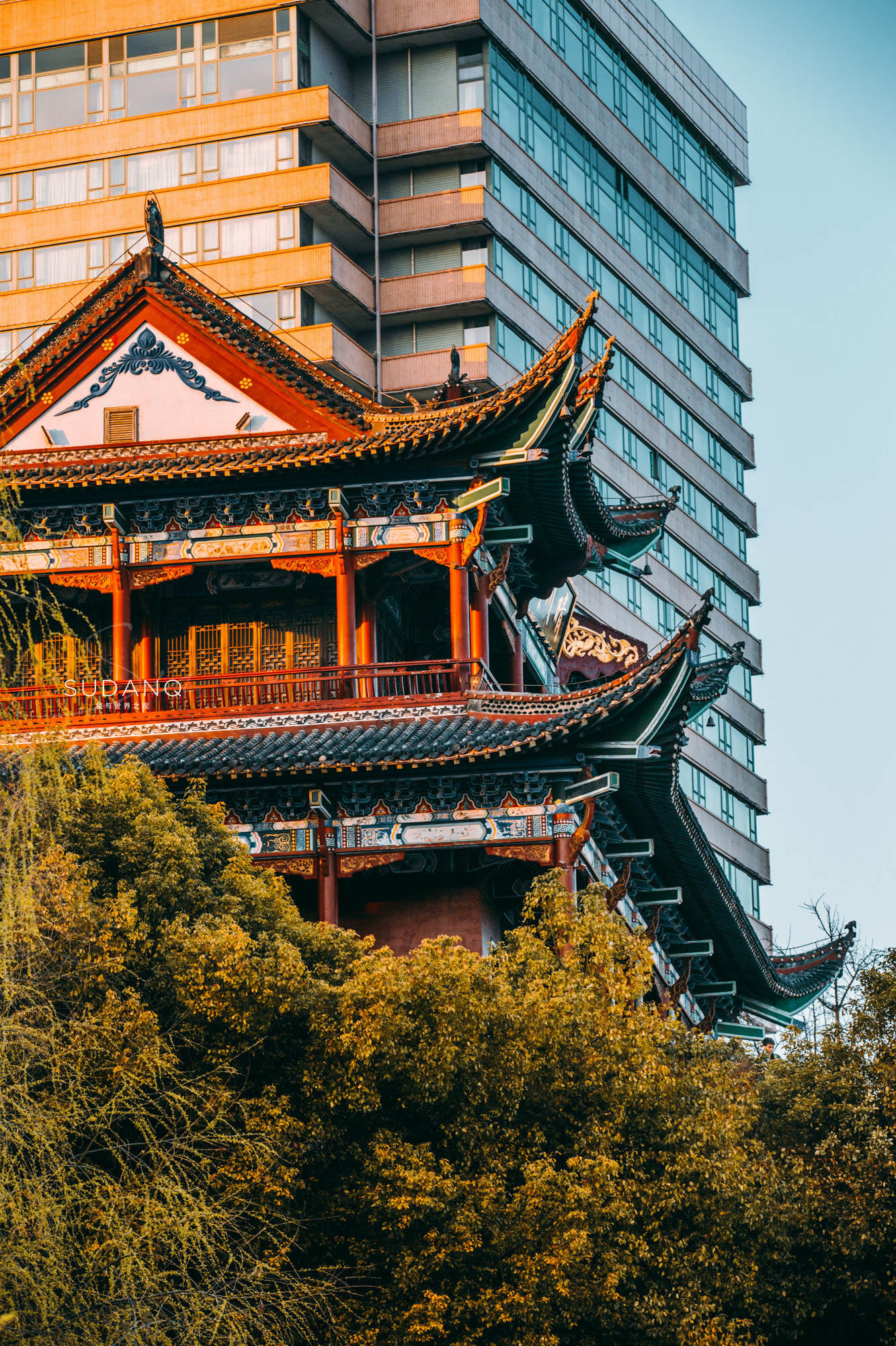 樱花配古建，晴川阁比黄鹤楼更唯美！武汉樱花之旅千万别错过这里