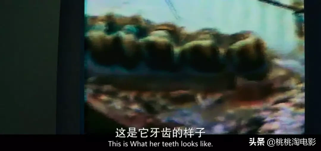 这才是2019年最应该记住的电影，奥斯卡即使被提名也没有被给予。