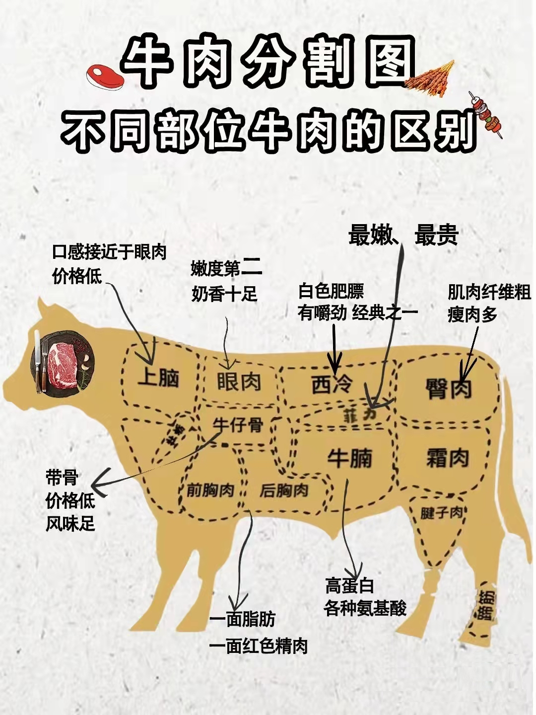 牛肉和牛腩有什么区别（牛肉不同部位区别）