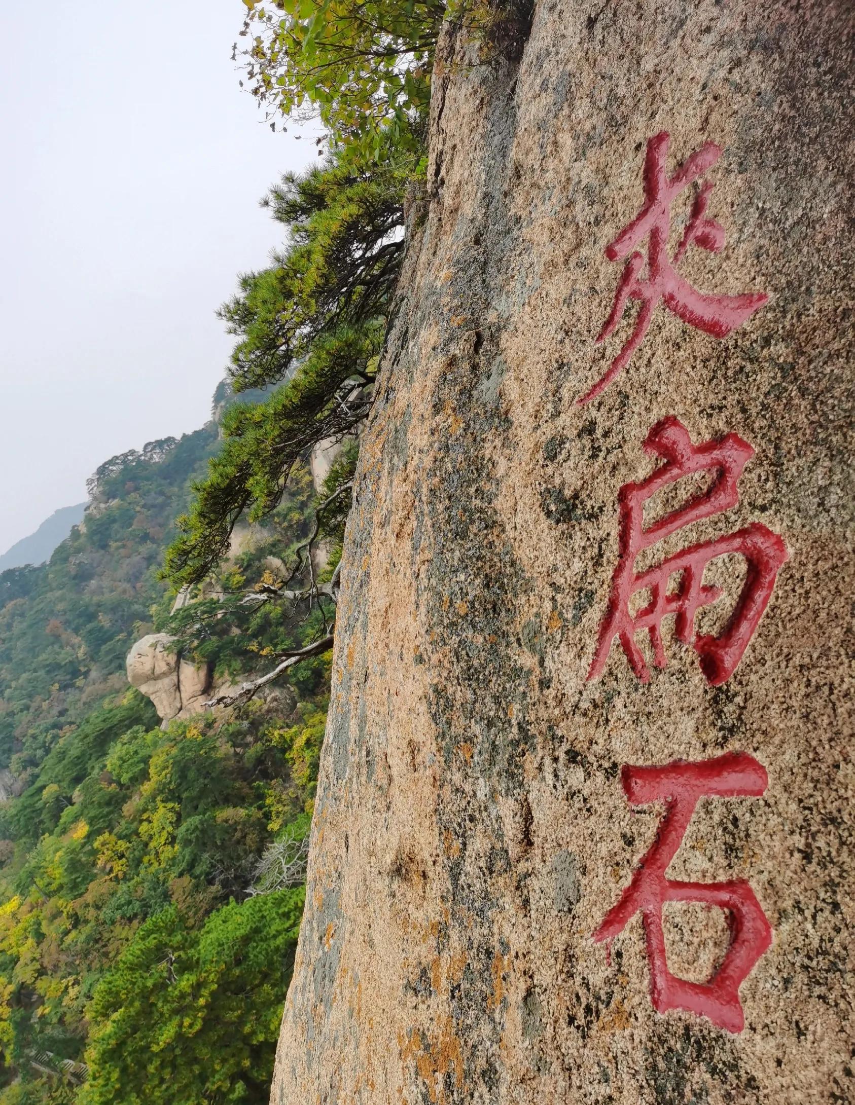 重阳登高有感