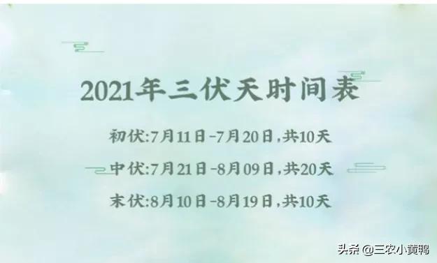 今天入伏吗？不，7月11号入伏，8月20号出伏，附三伏时间表