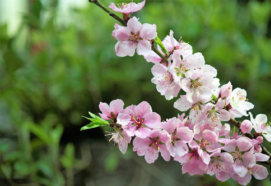 适合发朋友圈的唯美句子，睿智深刻，蕴含哲理