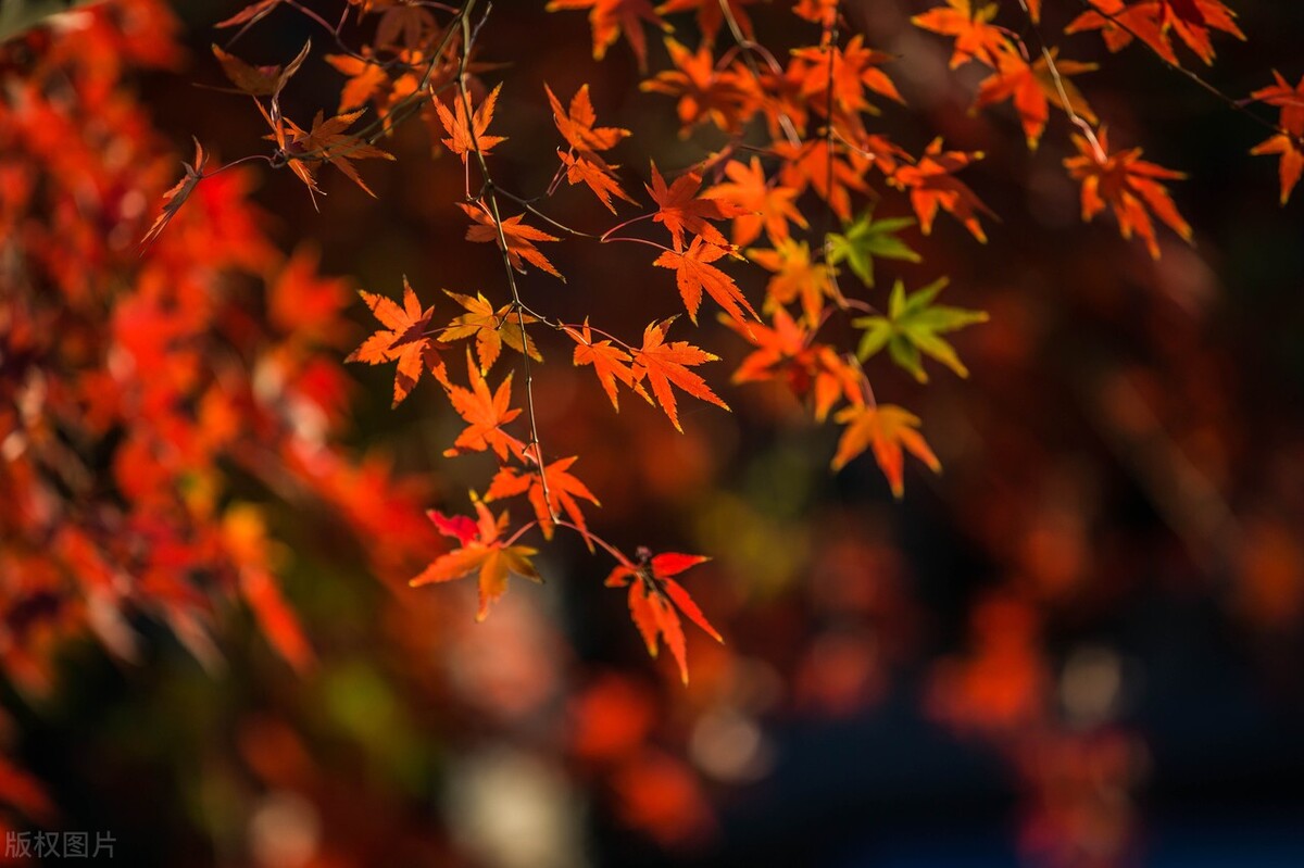 6個智慧金句，個個警醒世人，助你預防人性墮落