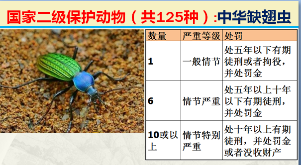 国家保护动物分几个等级（125类二级野生保护名录）