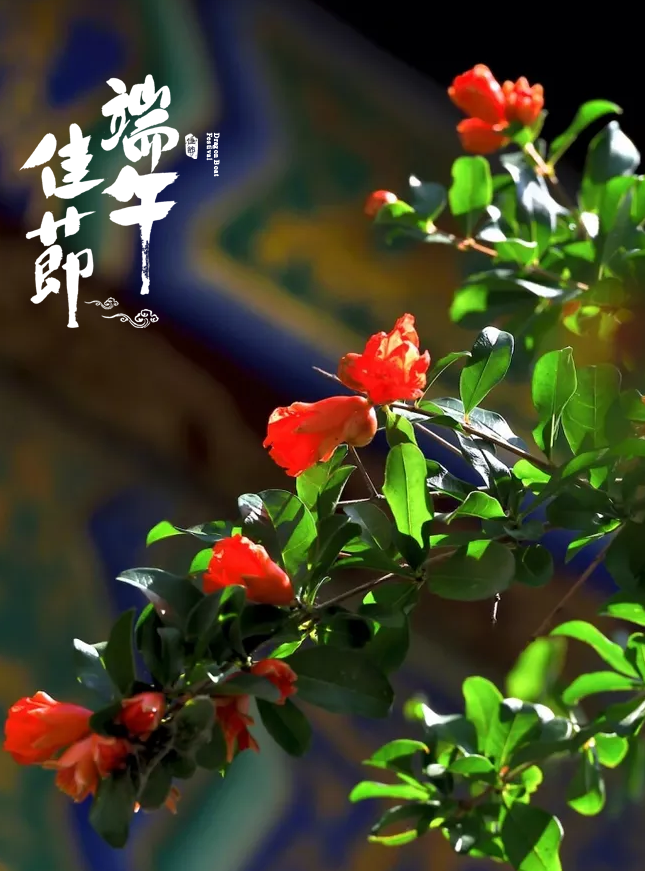 「诗词鉴赏」十五首端午的古诗词，写尽端午的习俗与万般思绪