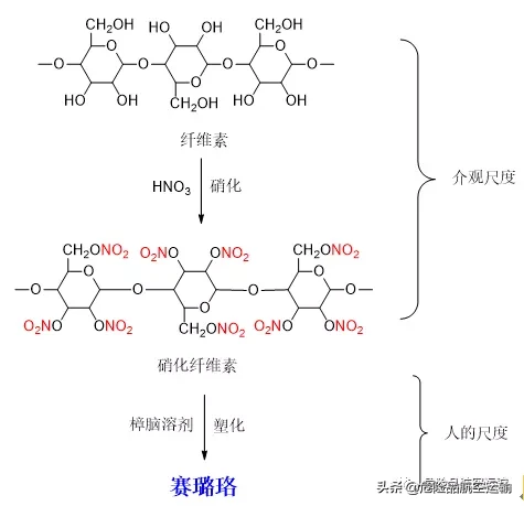 乒乓球为什么要容用赛璐珞（赛璐珞 -充满创造力的塑料）