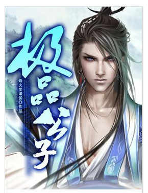 《极品公子》是一部网络都市题材小说,主人公叶无道,认为女人是上帝赐