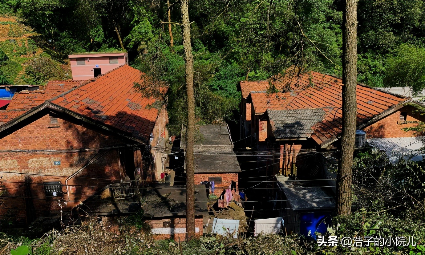 湖南第一纸板厂改制前（往事如烟，似水流年，湖南第一纸板厂掠影）