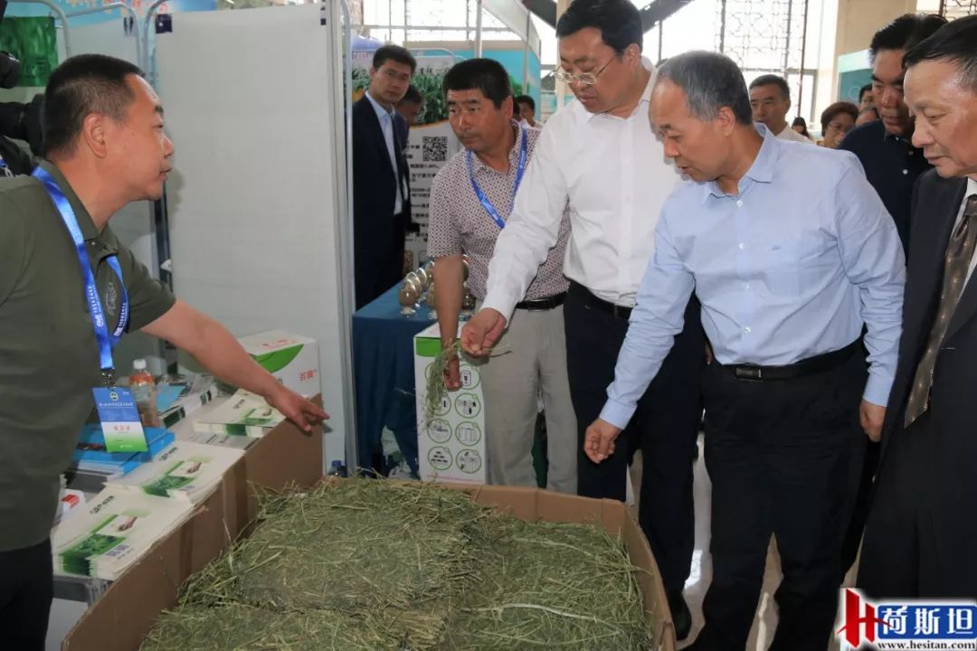 新機遇下苜蓿產(chǎn)業(yè)如何發(fā)展？第八屆2019中國苜蓿發(fā)展大會召開