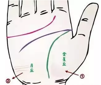 24种手诊图，堪比X光线，揭示你的身心健康