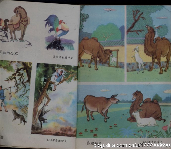 80后一代人的求学记忆：1987-1988年人教版五年制小学语文全集