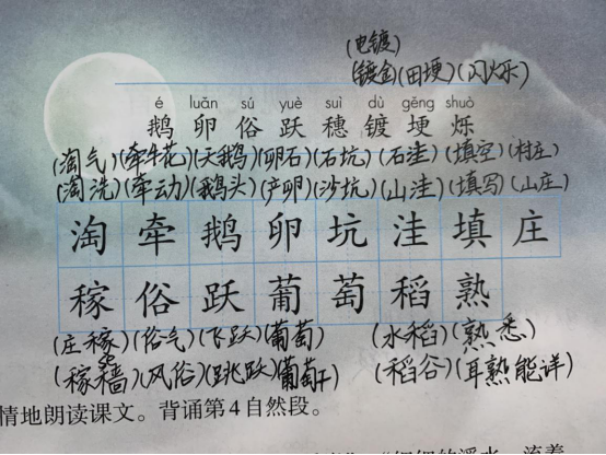 2《走月亮》一類生字組詞一類生字:淘 ,牽,鵝,卵,坑,窪,填,莊,稼,俗