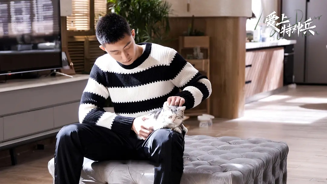 《爱上特种兵》：与其吐槽演技和剧情，不如学学如何立足职场