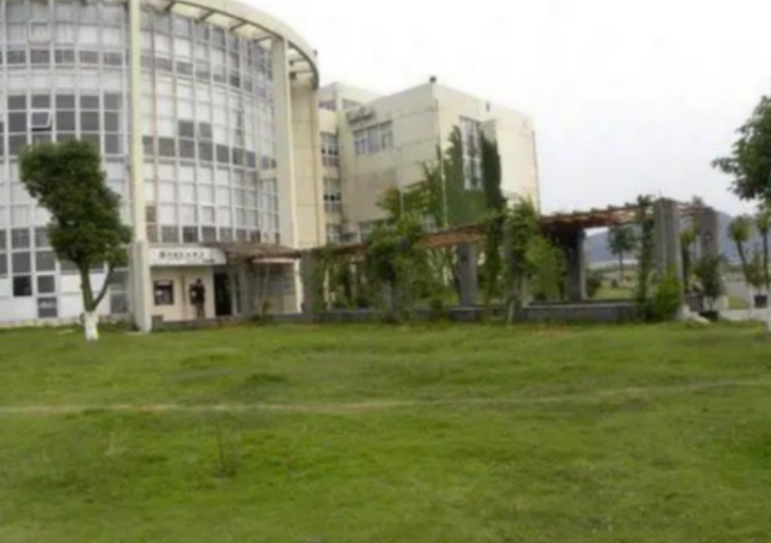 曹晓洁：高考仅385分无奈读大专，却被三家跨国公司争抢，为何？