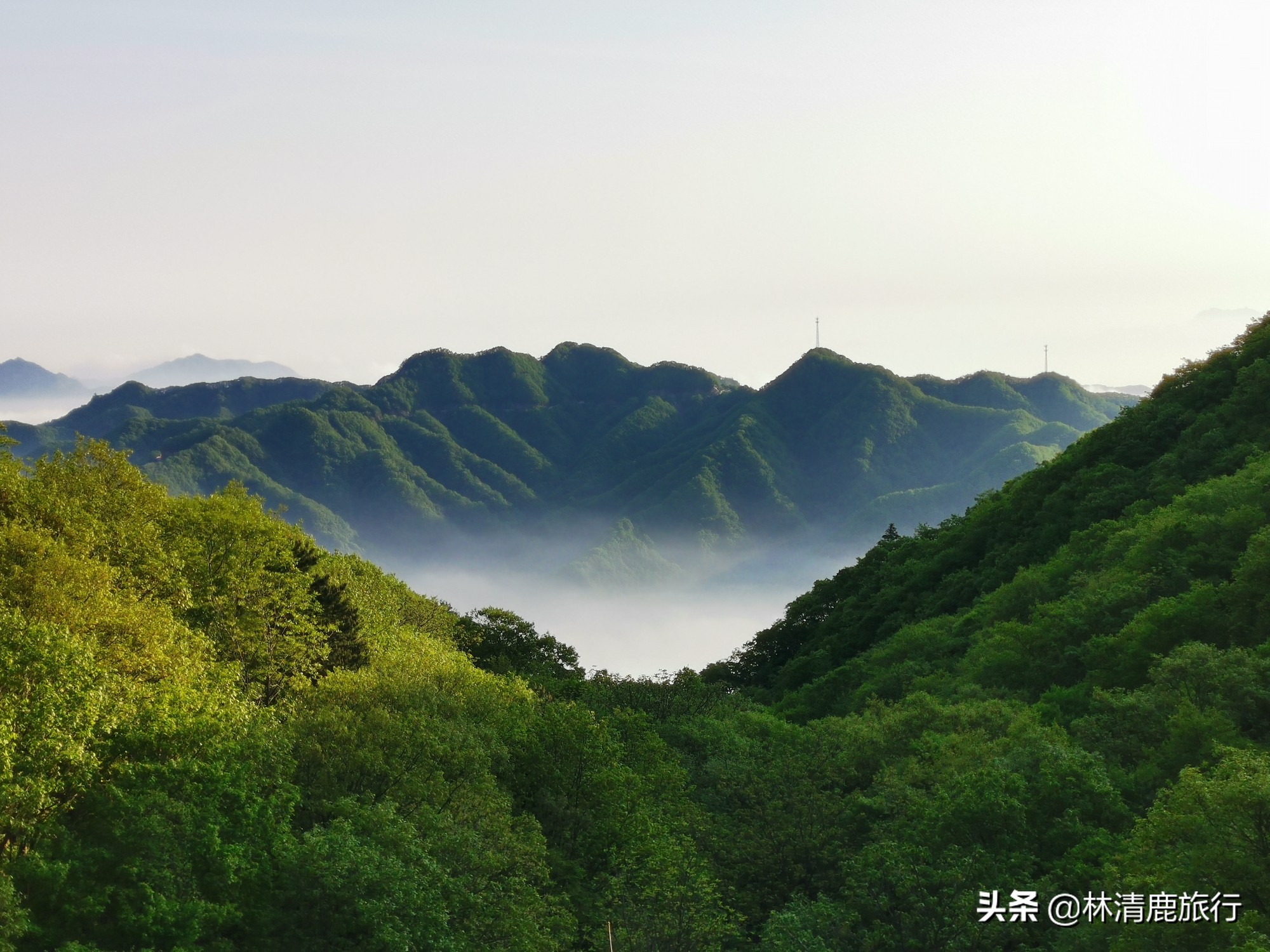 五一假期自驾游，河南最适合出行的10个景点，有3个没门票