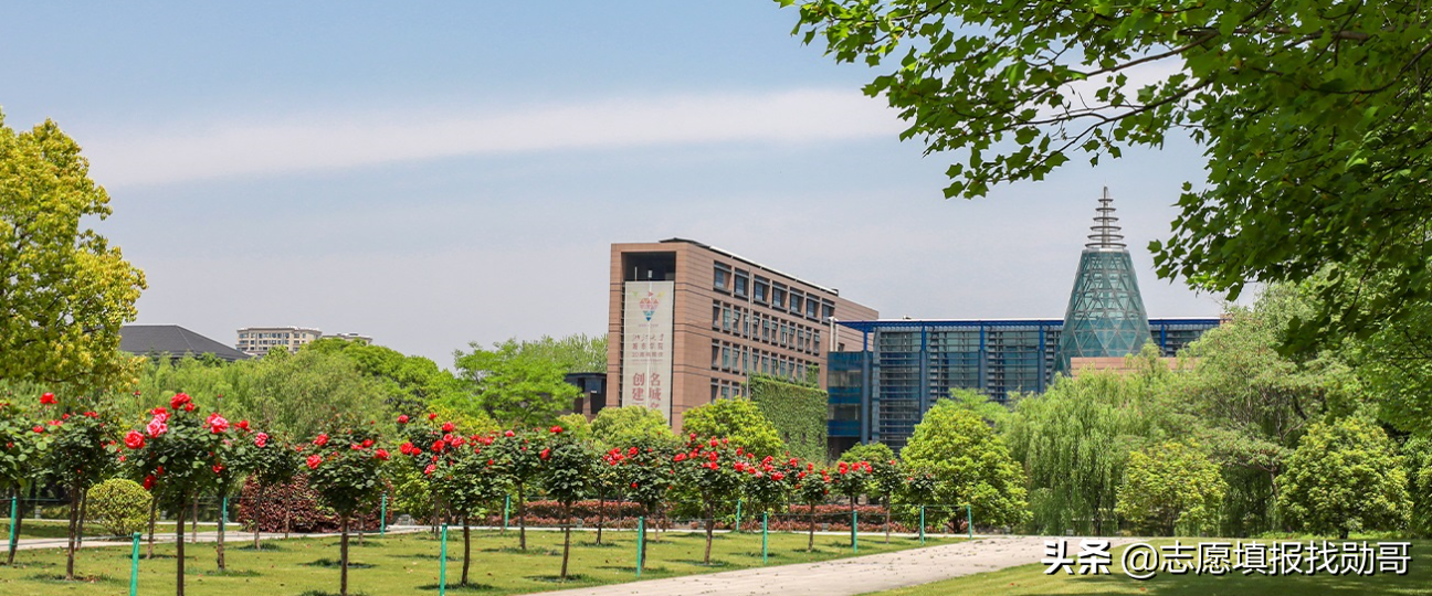 2019-2020年大学改名、升本，转设名单，最全收藏帖