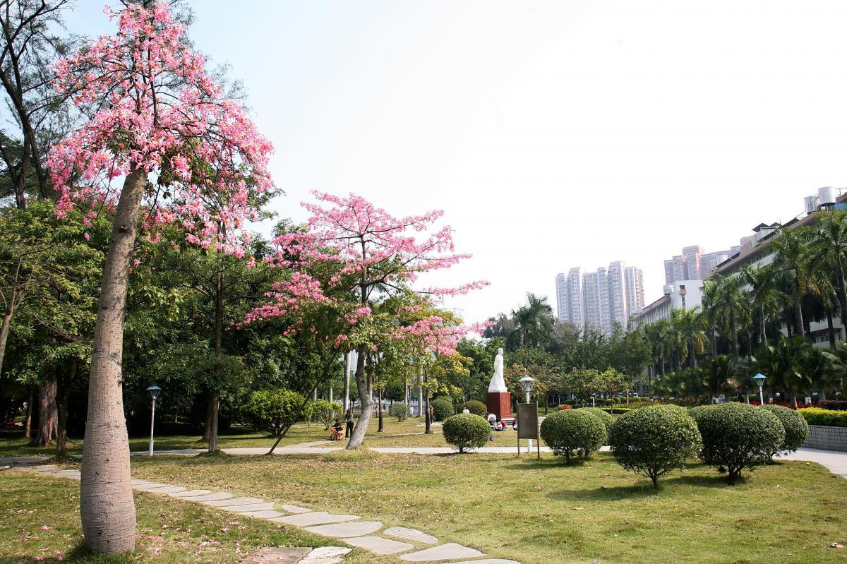 华南师范大学公布拟录取名单，5人放弃录取，调剂29人放弃复试