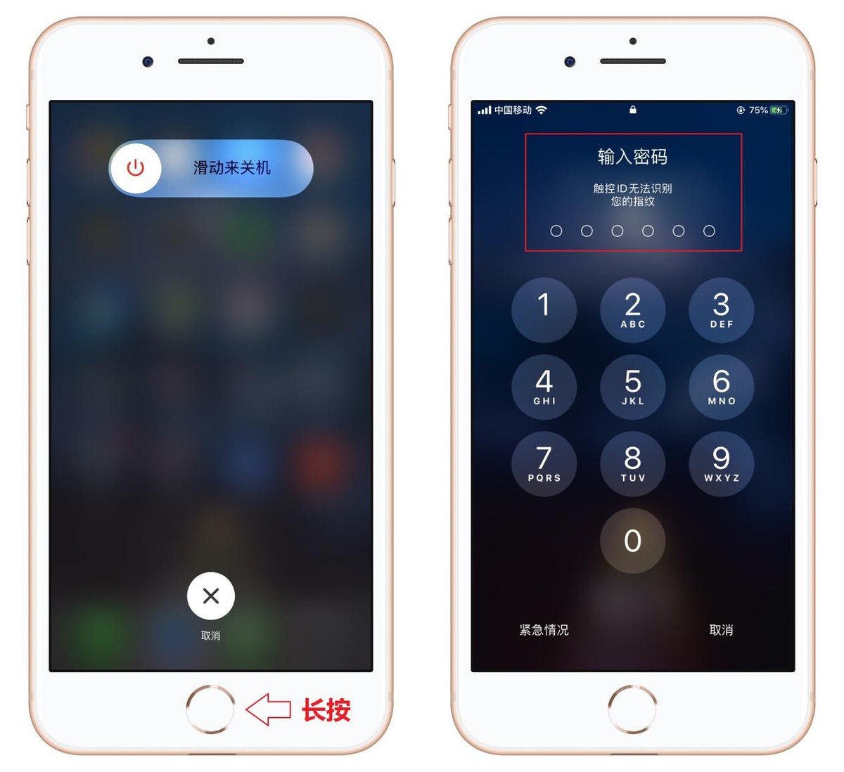 原来iPhone手机这样清理，能释放几个G内存，怪不得这么好用