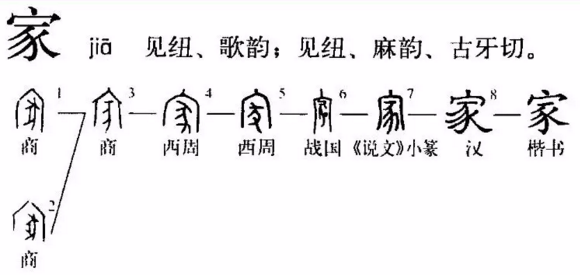 猪的汉字演变过程图图片