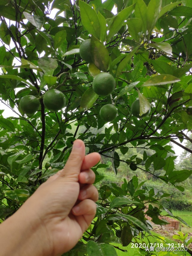 生活的仪式感：平凡日子里的诗意栖居