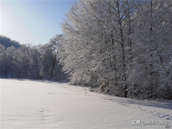 最全下雪天心情说说，浪漫、文艺、伤感、幽默……总有一句你喜欢的（组图）