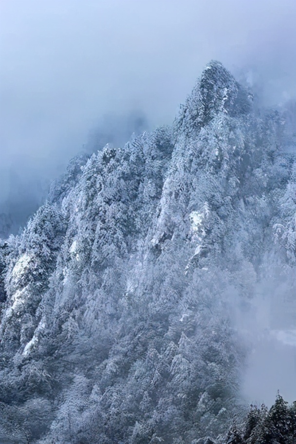 12月杭州哪里可以滑雪(千米高山，十年品牌，临安大明山万松岭滑雪场昨天开滑)