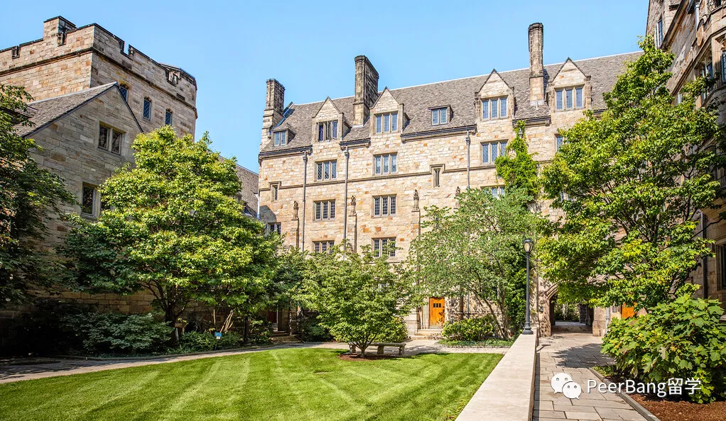 藤校学生「最爱专业」曝光！为什么大部分人都选了文科？