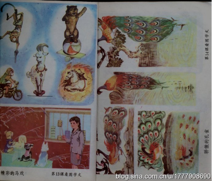 80后一代人的求学记忆：1987-1988年人教版五年制小学语文全集