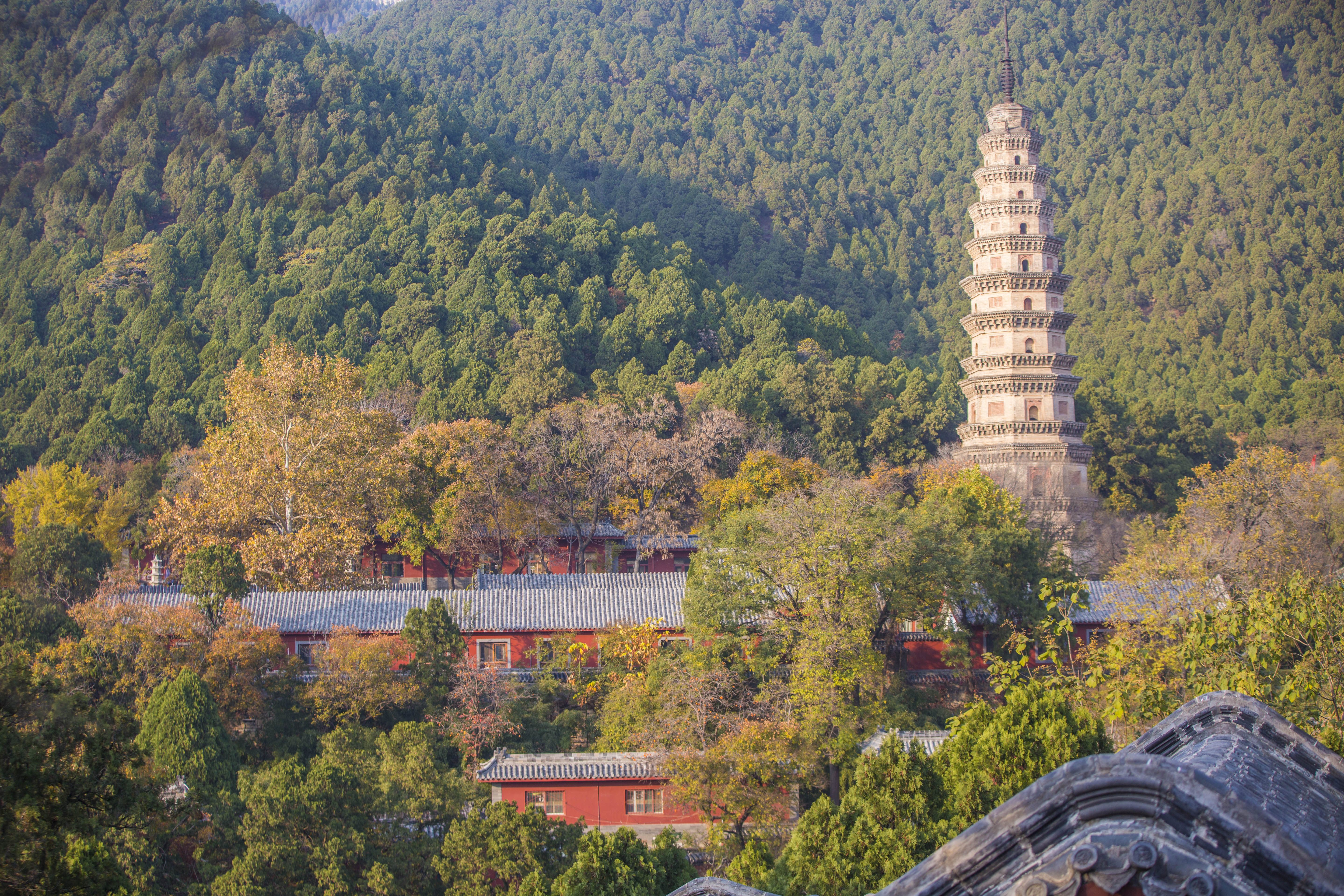 海内四大名刹之首千年古寺灵岩寺,金秋那抹金黄更显神秘与庄严