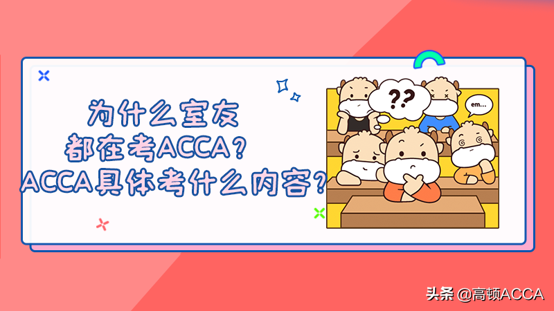 为什么室友都在考ACCA？ACCA具体考什么内容？
