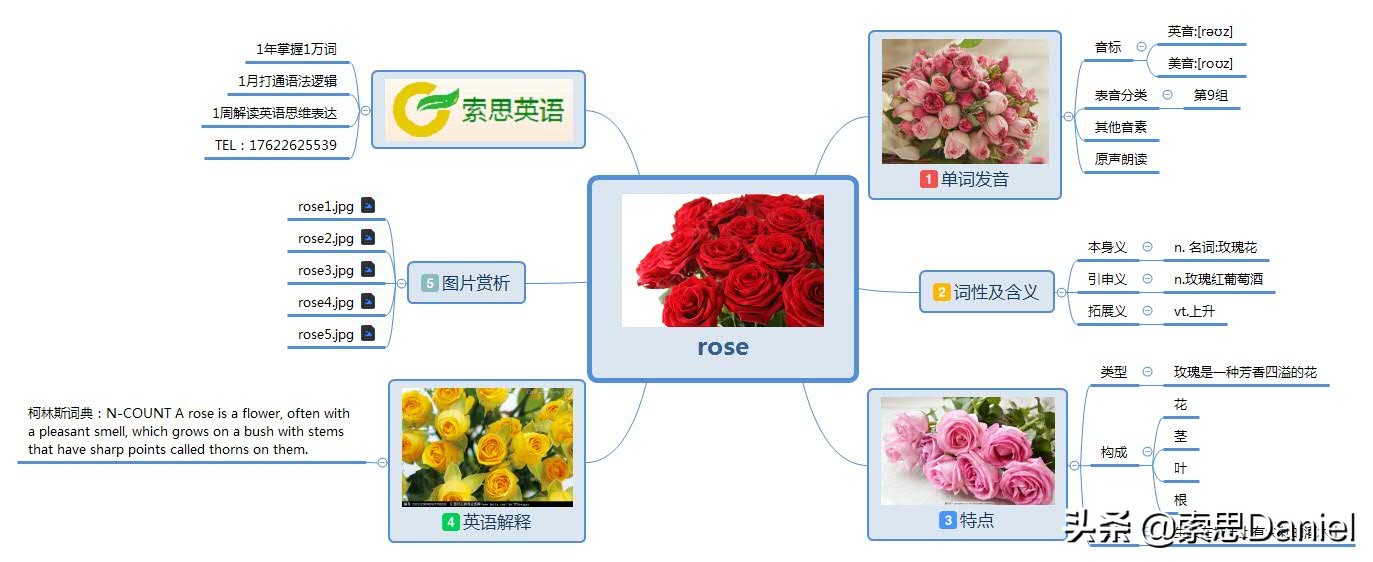 玫瑰英语怎么读（rose怎么读）-第1张图片-易算准