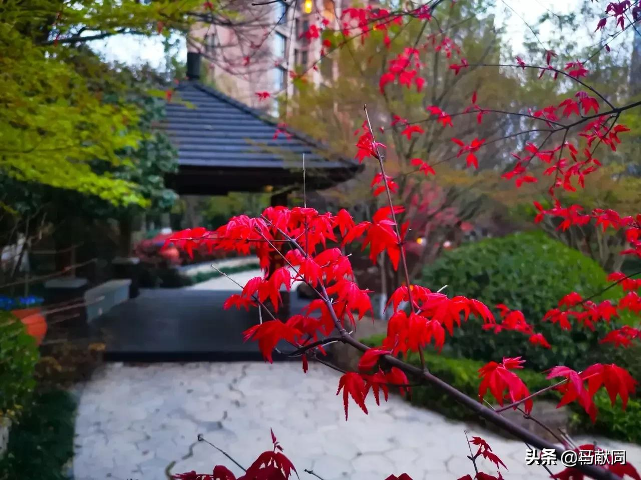 风雨人生路漫漫，给自己一个微笑，温暖前行每一步。