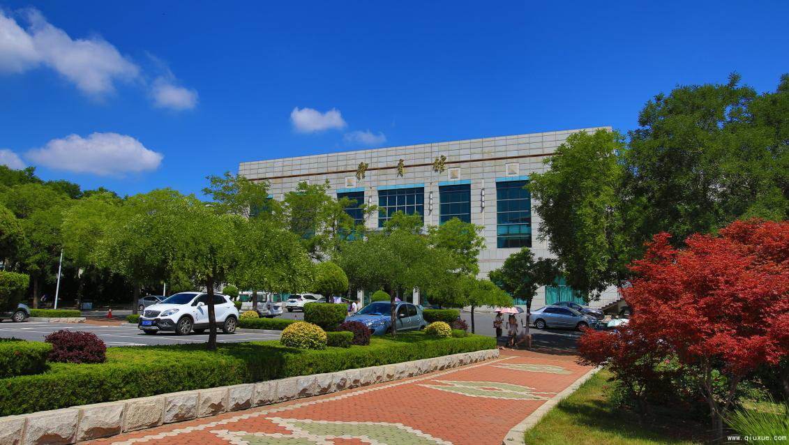 辽宁的4所“野鸡大学”，每年都有考生上当，学生们一定要注意