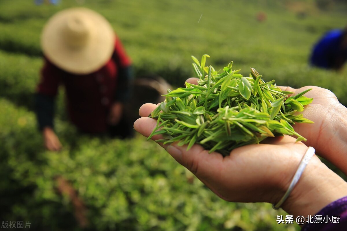 茶叶种类及十大名茶(中国10大名茶！你喝过哪几种？原来茶叶也有地位之分)