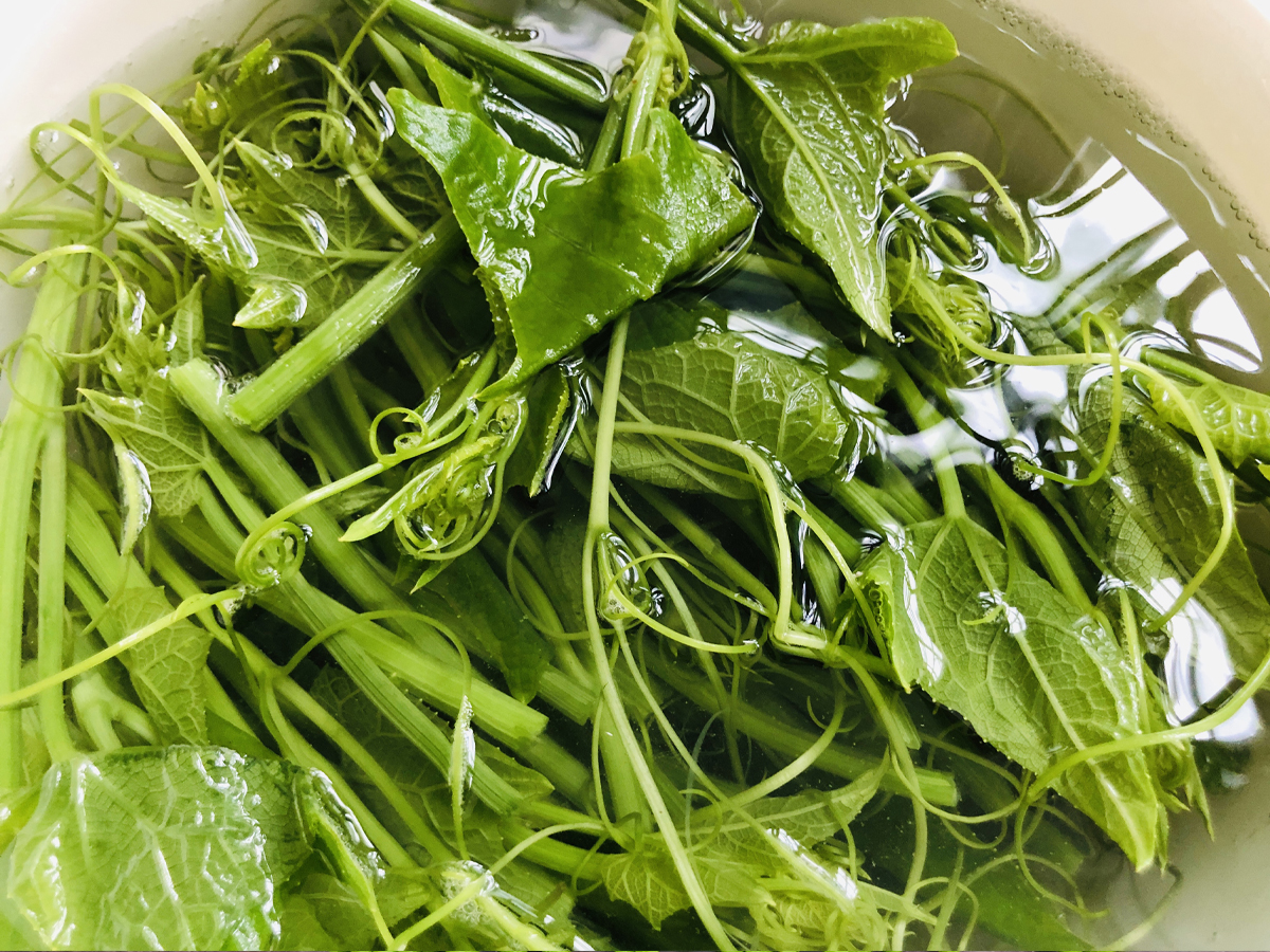夏天，遇到这菜别错过，虽然价钱略贵，但却非常爽口好吃，值得了