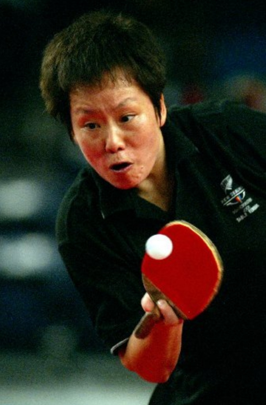 桂林最好乒乓球培训班在哪(你还记得这些乒乓球直板正胶高手吗？其中有4位广西人)