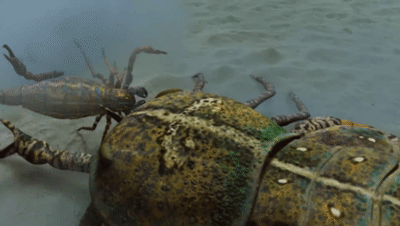 史前时代10大猛兽，霸王龙恐鳄巨齿鲨哪个最强？地球史前巨兽系列