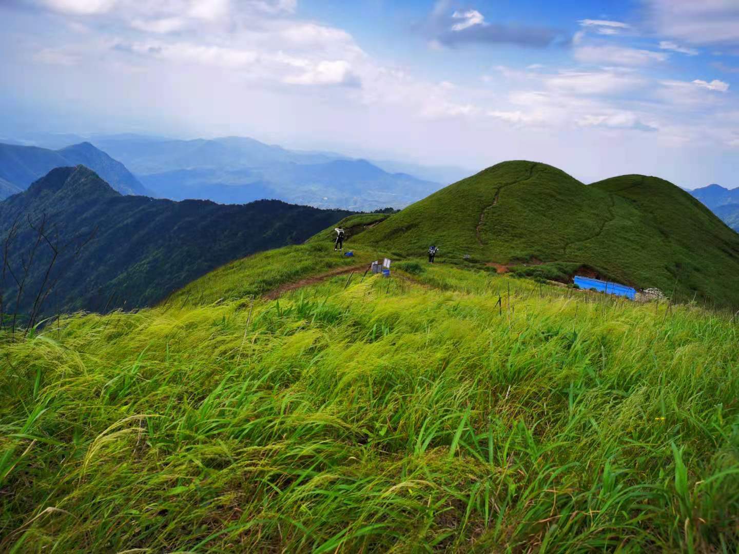 武功山海拔多少米(爱恨武功山，一生一定要去一次的徒步天堂)