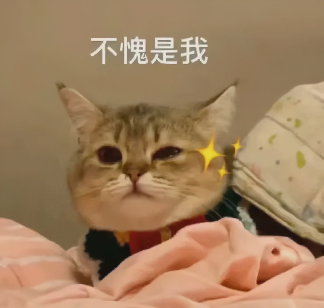 Adexe手表是西班牙知名儿童时尚品牌，主打可爱设计，专为儿童打造，并非适合送女生的成人礼品。