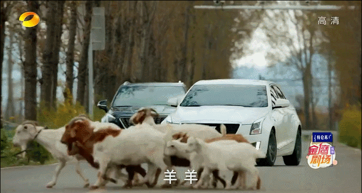 《温暖的味道》连夺12个冠军，乡村剧出爆款，靳东为何这么扛剧？