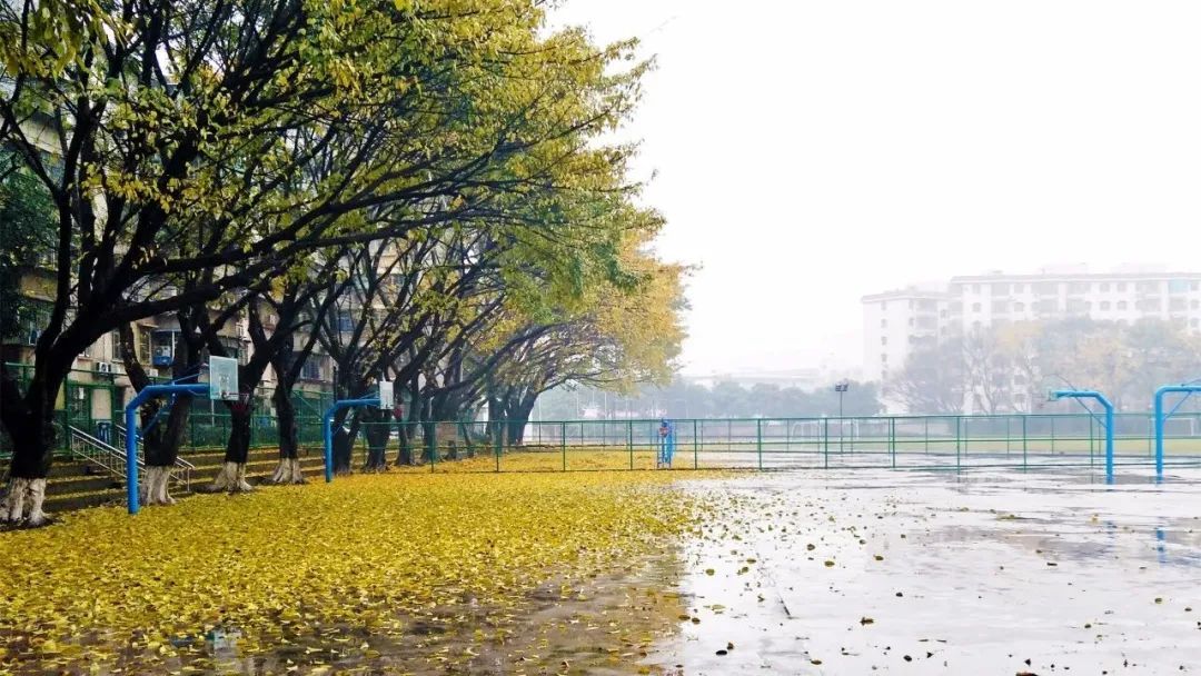 高职高考必看｜全面了解广东技术师范大学
