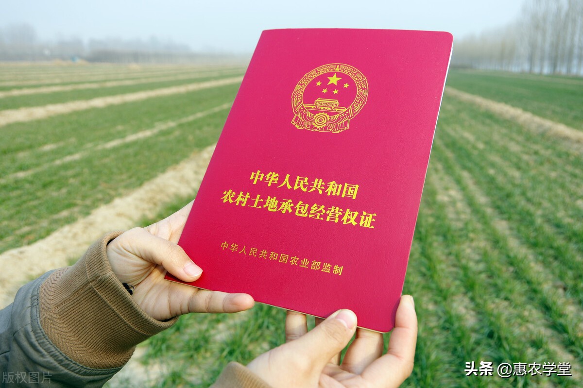农村土地补贴多少钱一亩农村土地退出每亩补偿多少钱