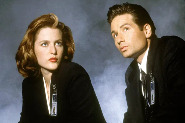 好莱坞“性教育”女星想穿胸罩？ “谁爱穿，我不做！”