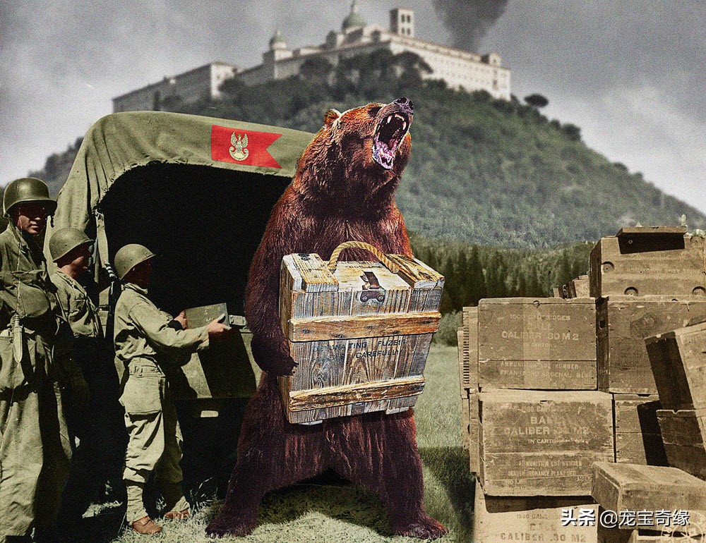 英雄与狗熊的故事简短 _飞翔号