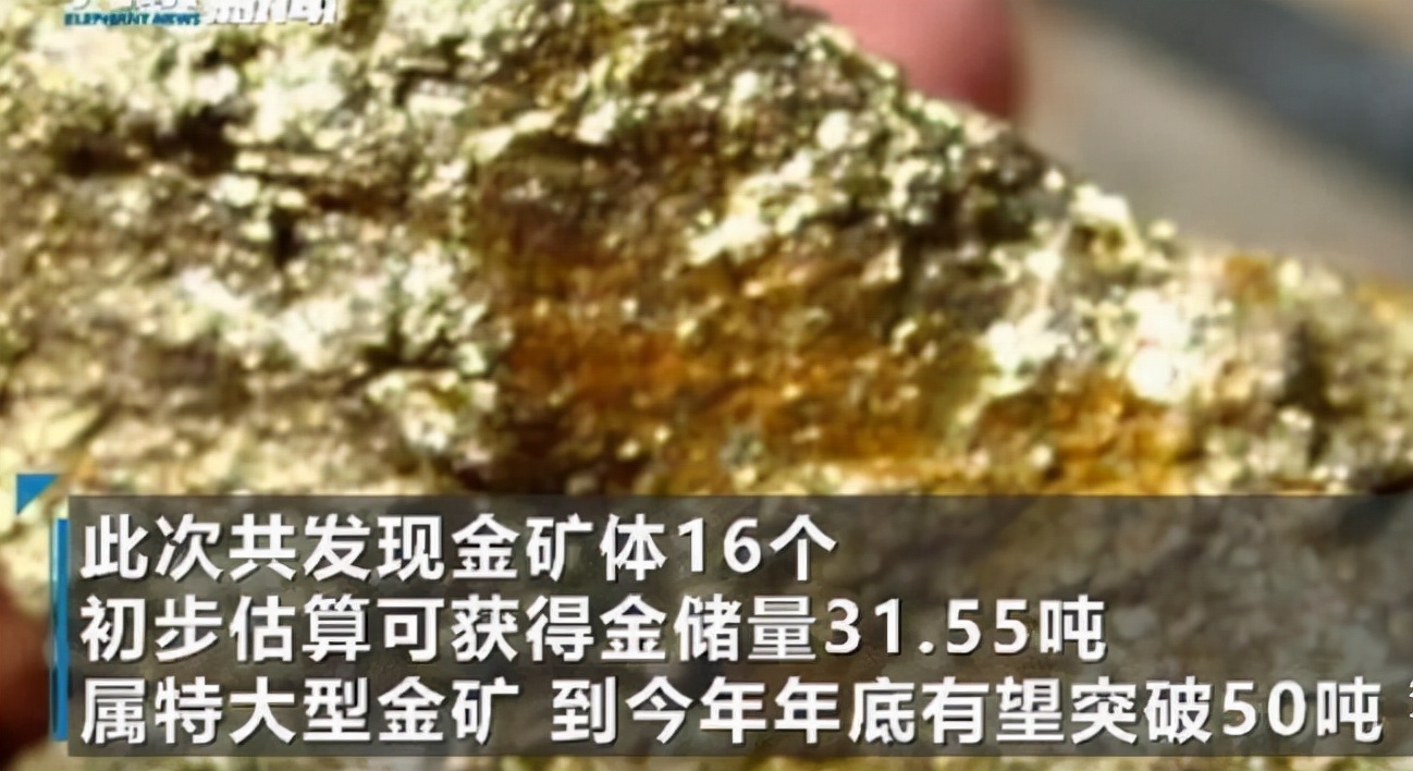 今日河南石脑油一吨多少钱(31.55吨！河南特大金矿价值116亿，金价会因此暴跌吗？)