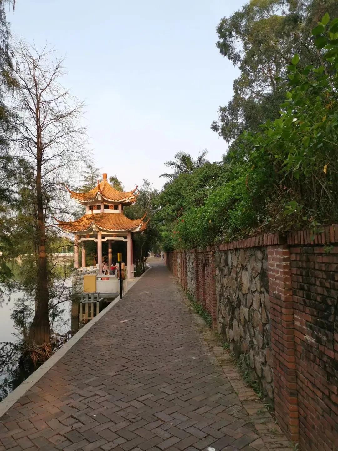 虎英郊野公园 虎英公园十大美人-徐拾记官网