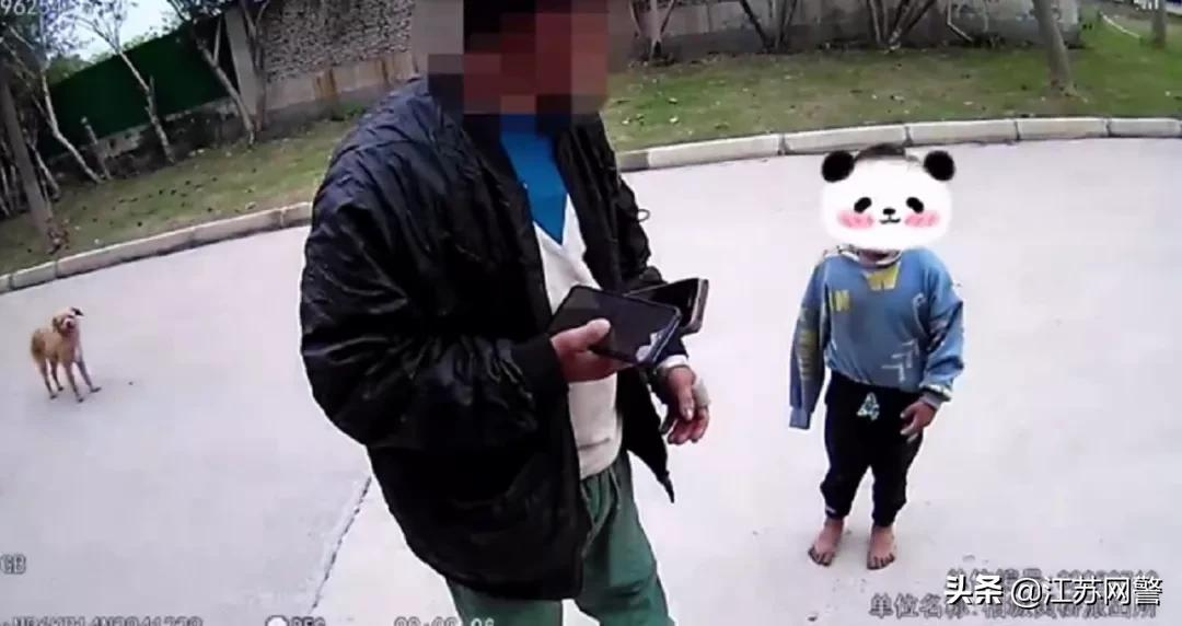 照看宠物狗,照看宠物狗的英文