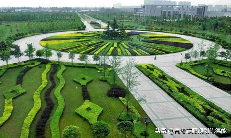 西华大学同西华师范大学的区别