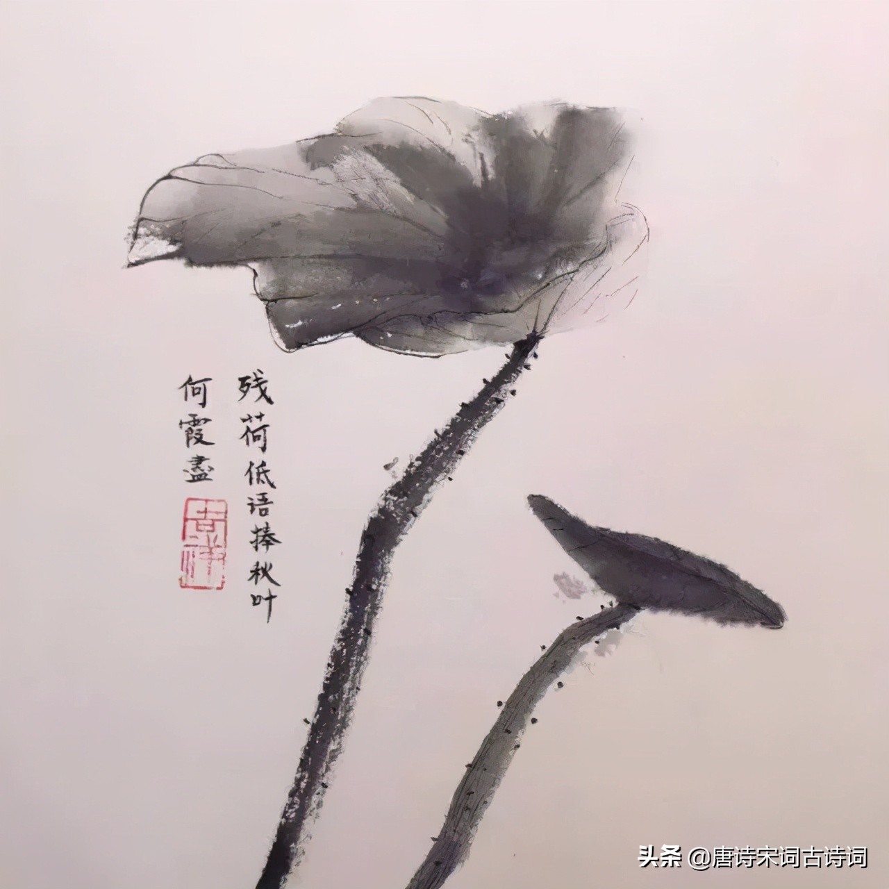 秋日风乍起，残荷听雨声